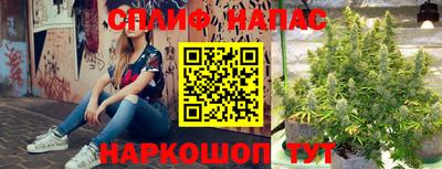 твердый Новодвинск